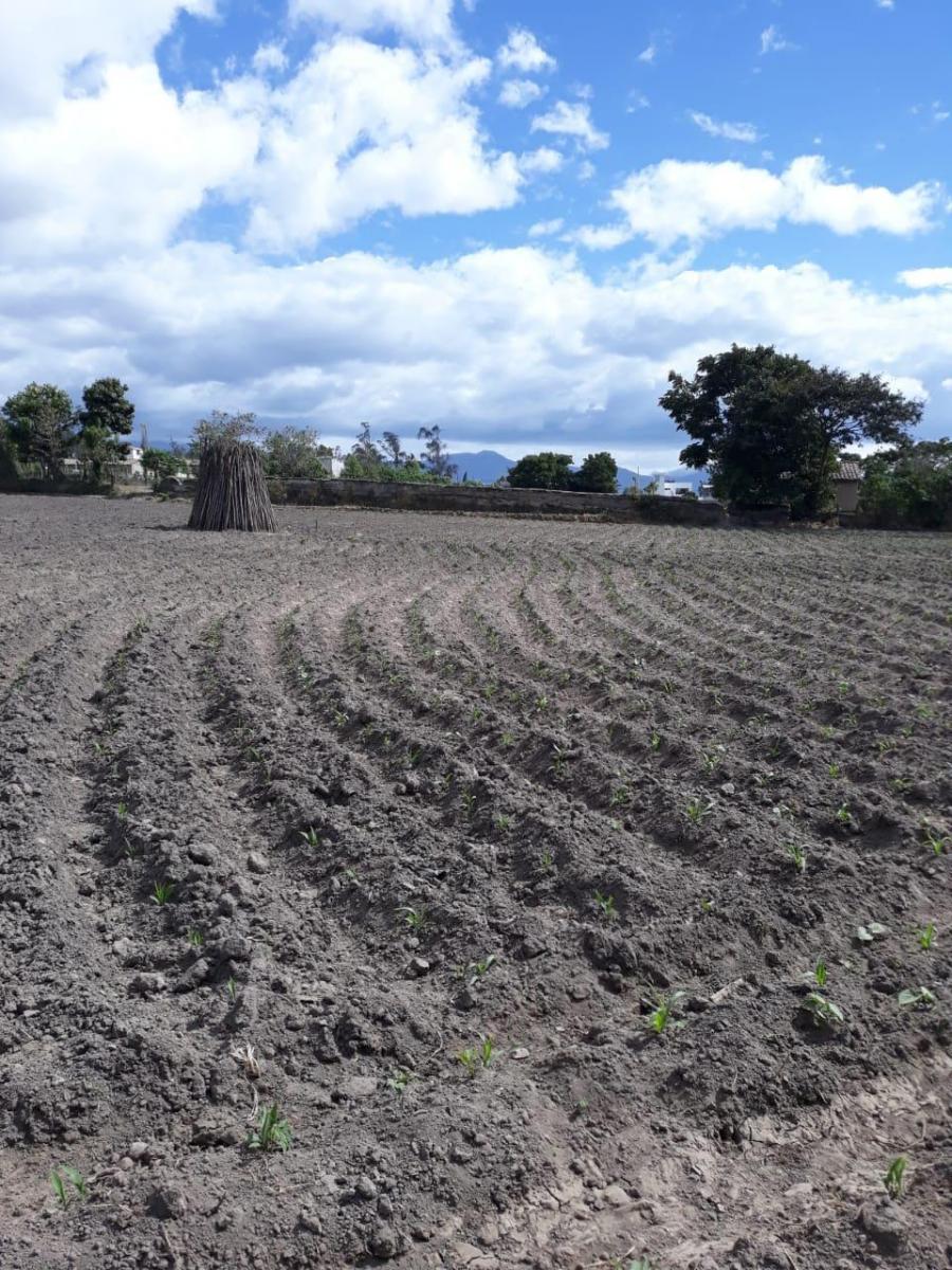 De Venta Hectárea de Terreno en Atuntaqui, Imbabura — imagen 3