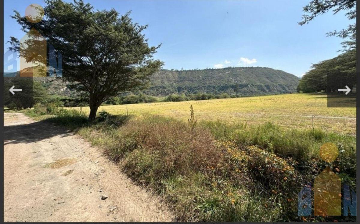 Venta Hacienda 30 Has 69 Has Bosque Protector Tababela Yaruqui Pifo — imagen 5