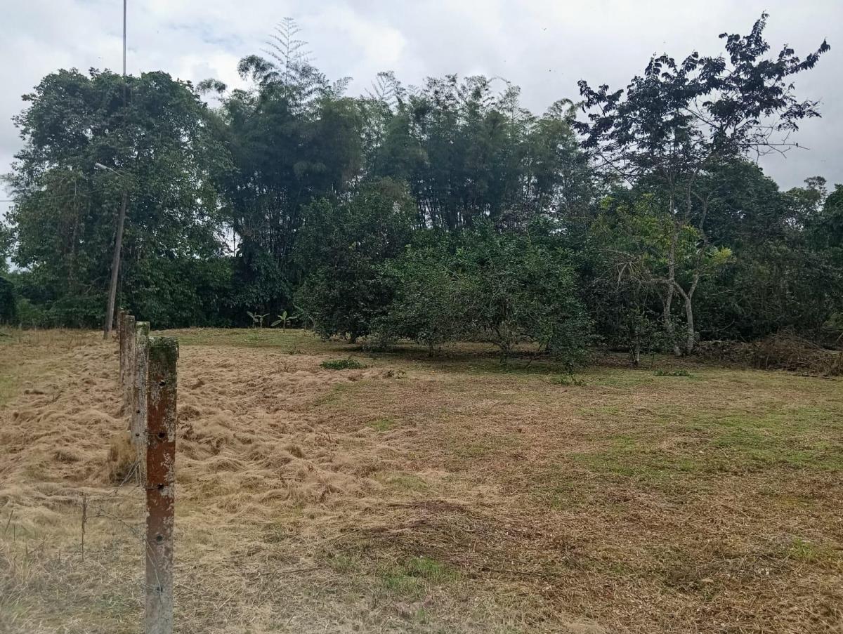 En Venta Terrenos en Urbanización Privada, Pedro Vicente Maldonado Cerca a Quito — imagen 5