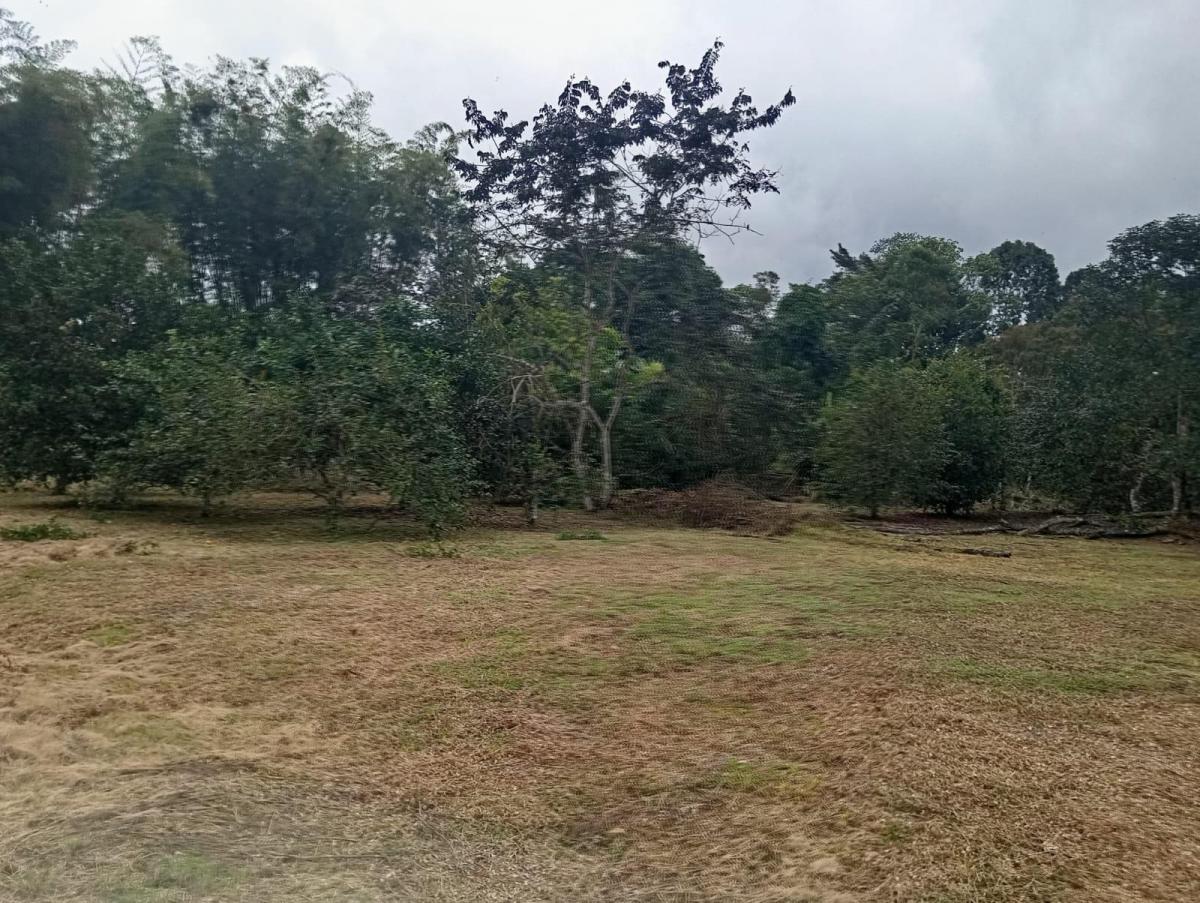 En Venta Terrenos en Urbanización Privada, Pedro Vicente Maldonado Cerca a Quito — imagen 4