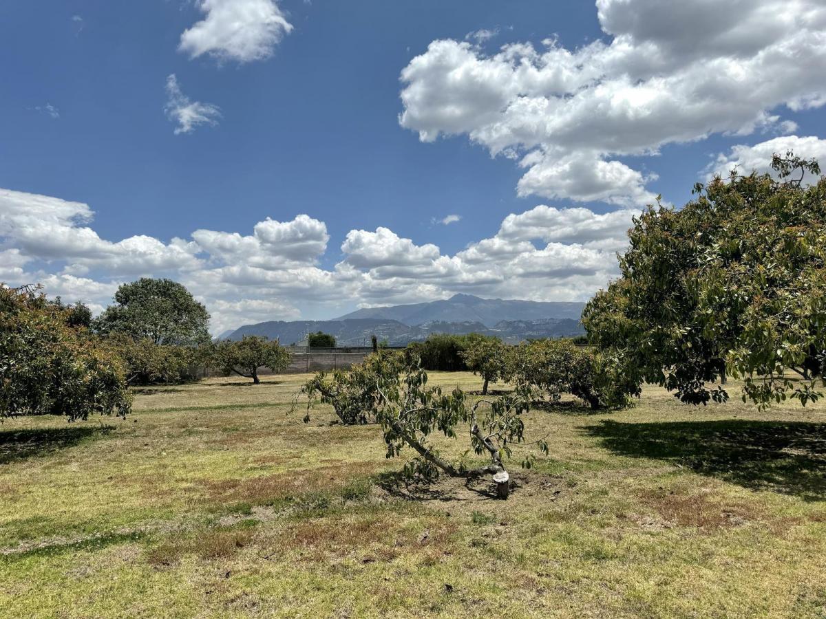 Terreno Plano de Venta en Arrayanes Puembo — imagen 9