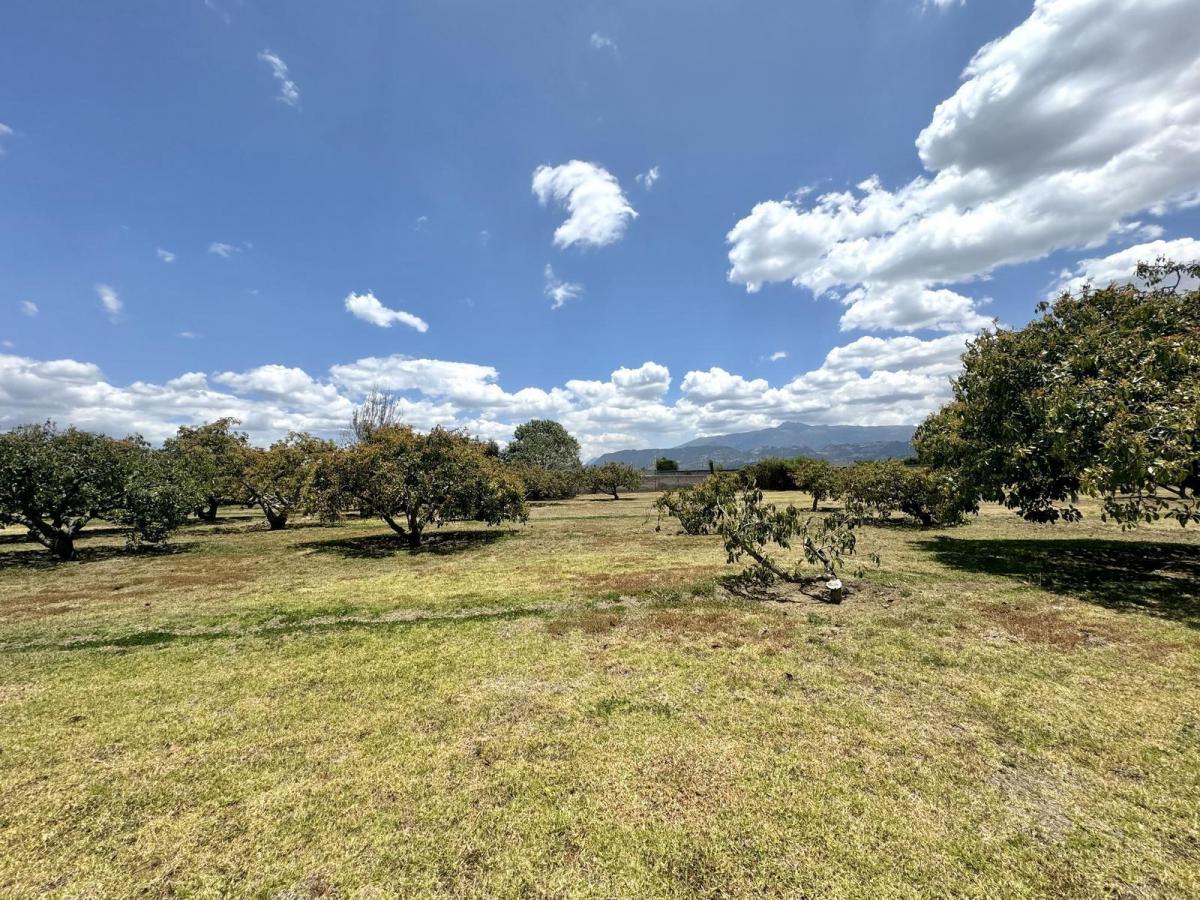 Terreno Plano de Venta en Arrayanes Puembo — imagen 8