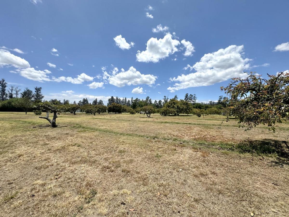 Terreno Plano de Venta en Arrayanes Puembo — imagen 7