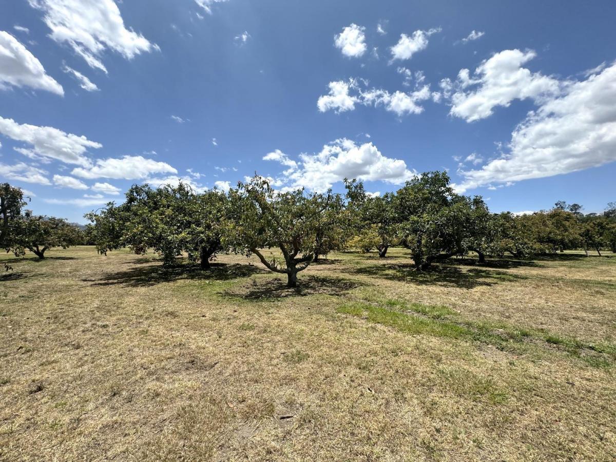 Terreno Plano de Venta en Arrayanes Puembo — imagen 4