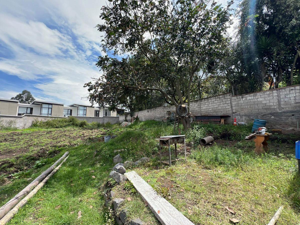 Mv - Sector San Juan de Cumbaya, en Venta Terreno 4002 m² Ideal Proyecto Inmobiliario — imagen 3