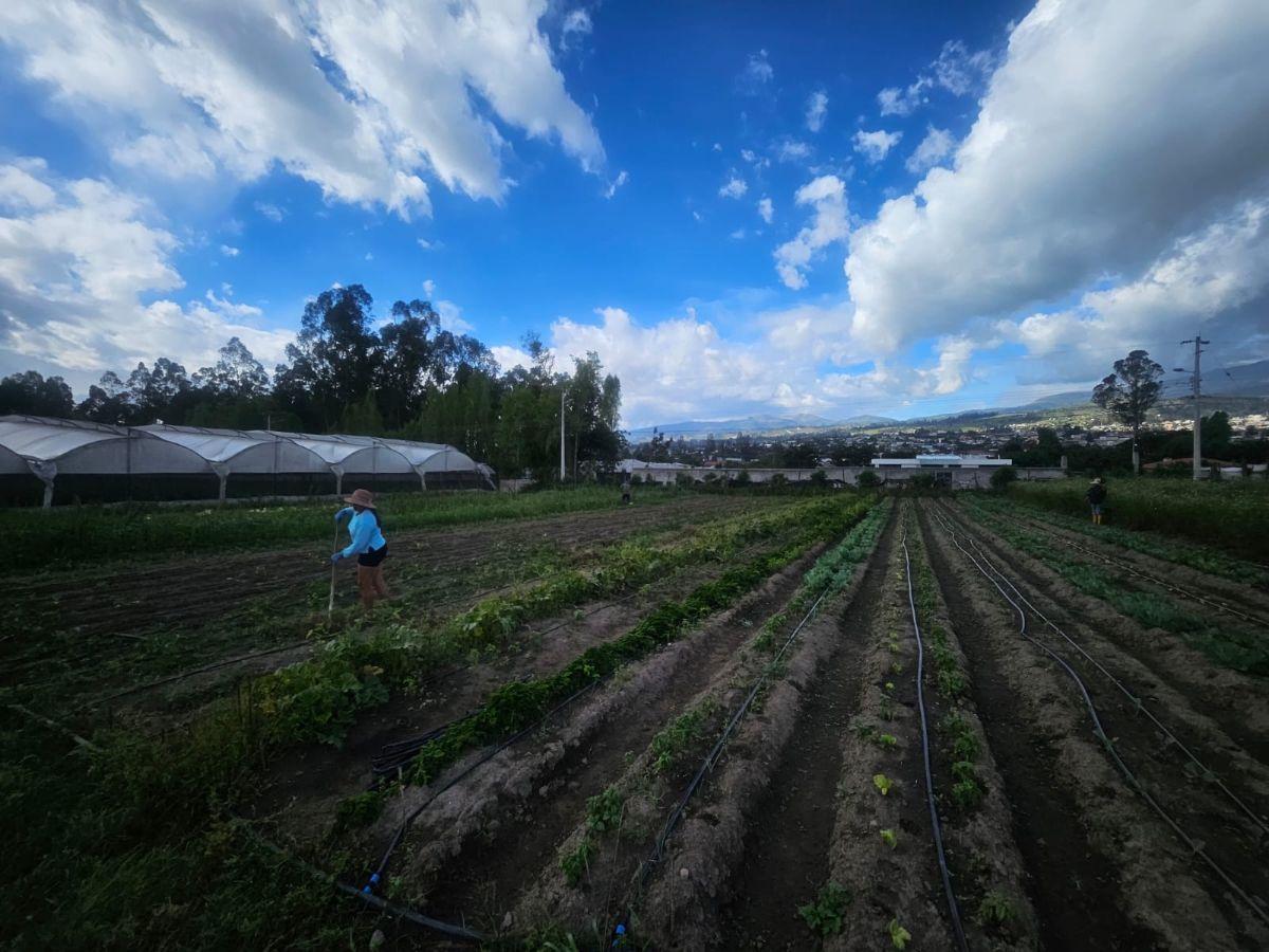Terreno en Venta Yaruqui — imagen 5