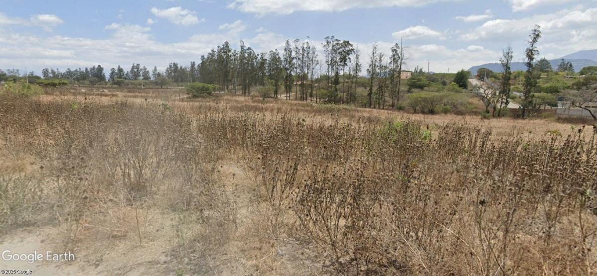 Venta Terrenos Puembo Sector Napoles — imagen 5
