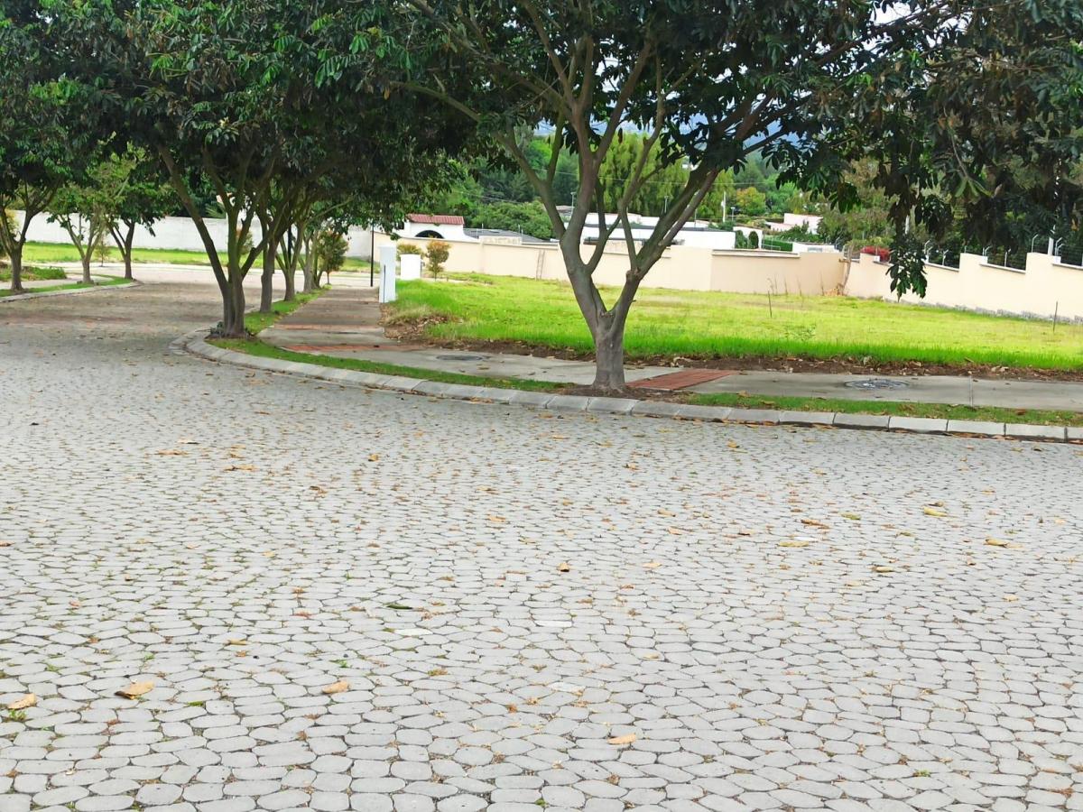 Terreno en Puembo en Urbanización Exclusiva — imagen 5