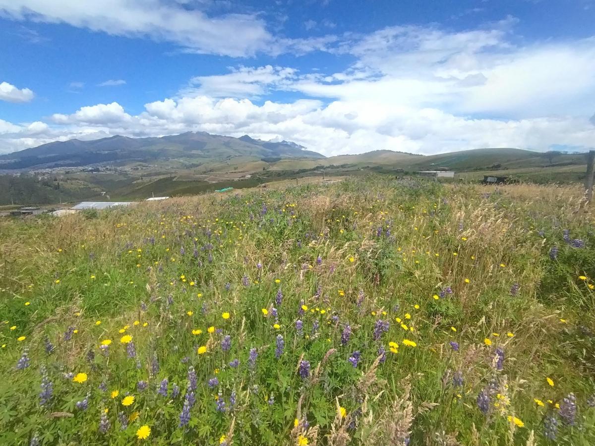Terreno en Venta, Tenerias Norte de Quito — imagen 3