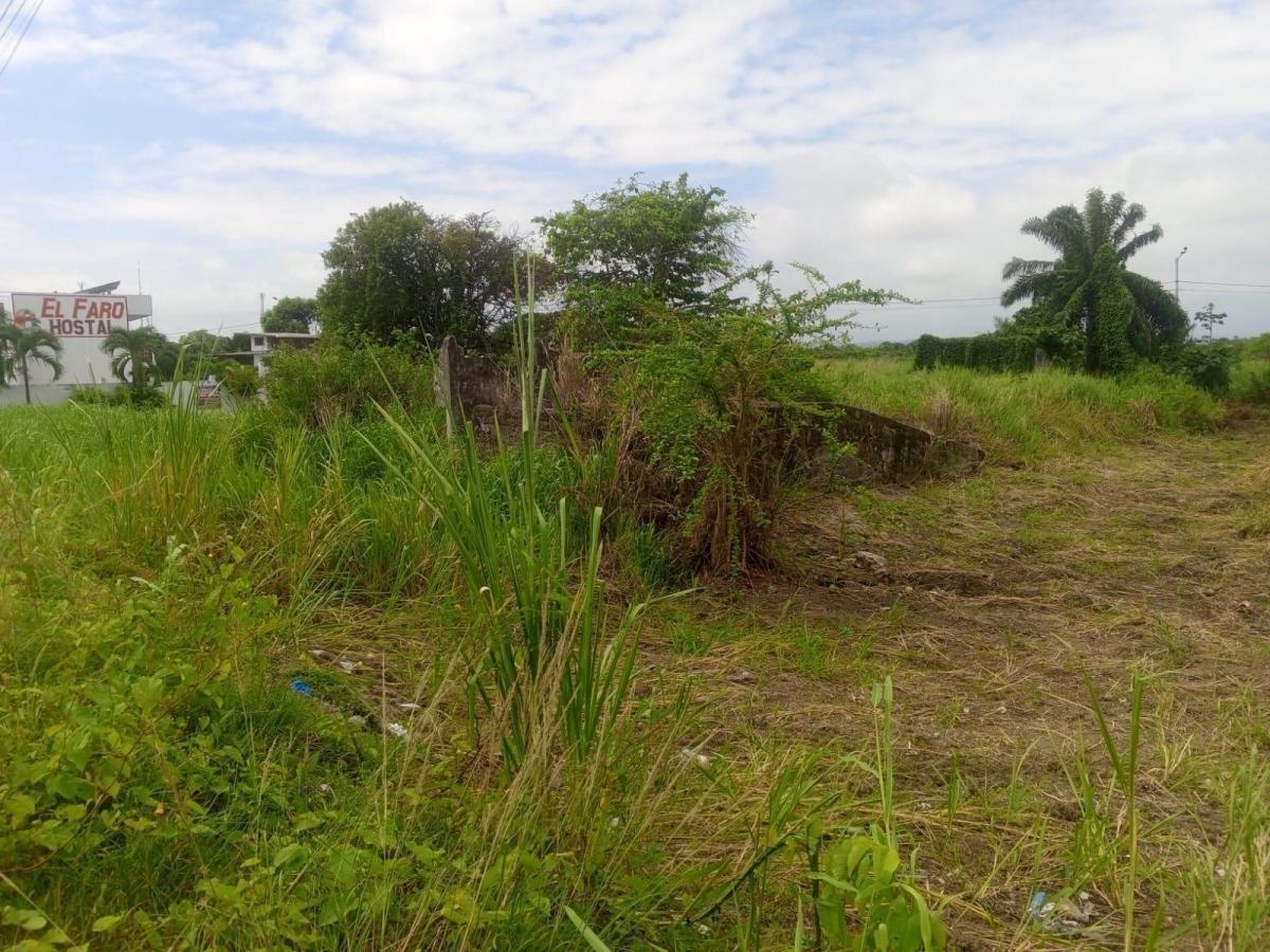Terreno en Cojimíes, Manabí — imagen 5