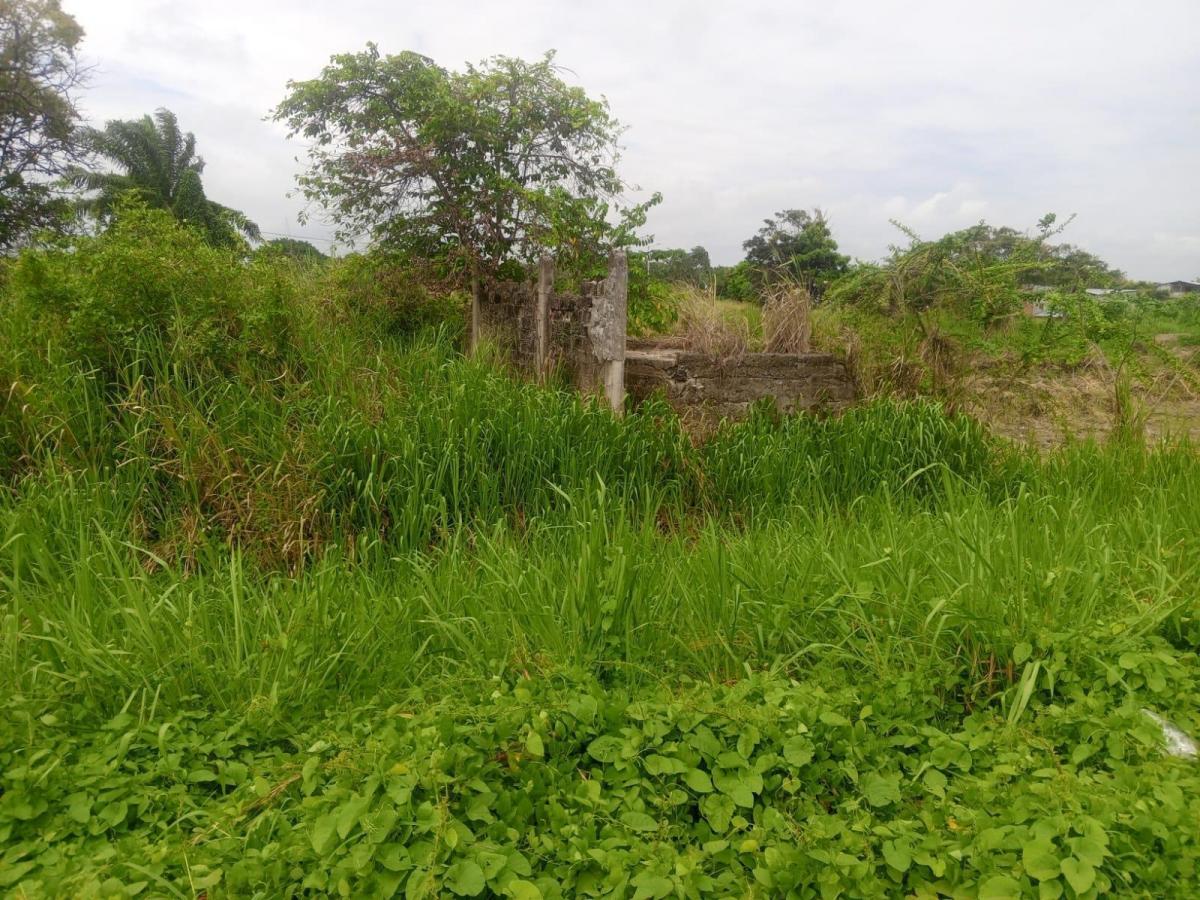 Terreno en Cojimíes, Manabí — imagen 4