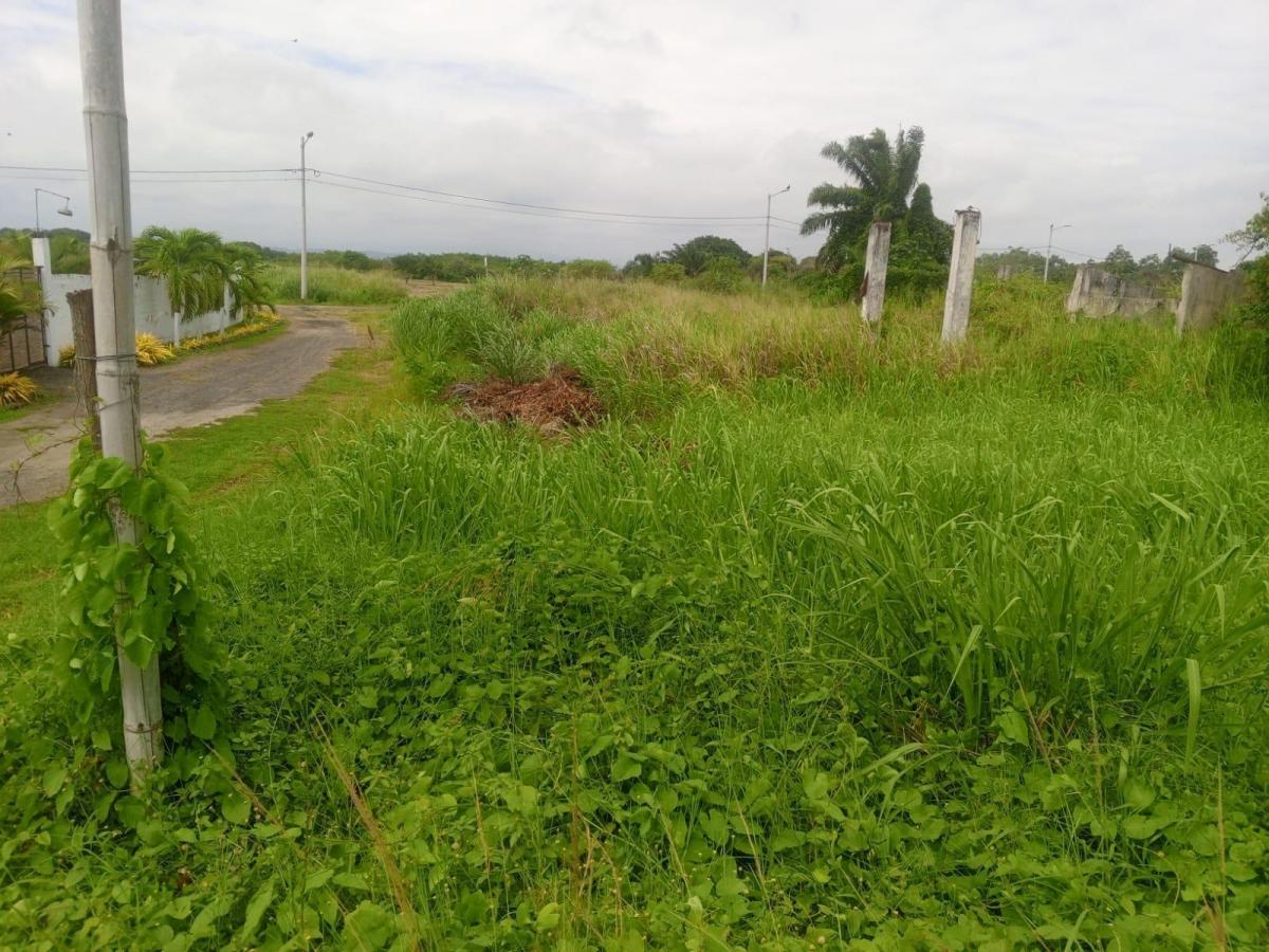 Terreno en Cojimíes, Manabí — imagen 3