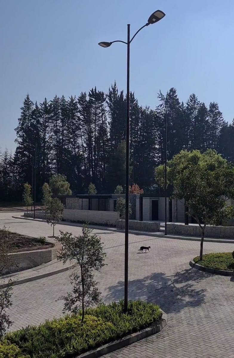 Mv - Puembo, en Venta Lote de Terreno 397 m², en Urbanizacion Exclusiva — imagen 4
