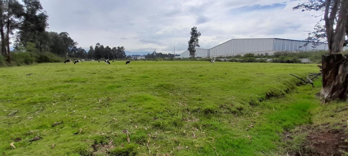 Terreno de Venta en El Valle de Los Chillos, Sector Inchalillo. 8973 m. Provincia de Pichincha — imagen 5