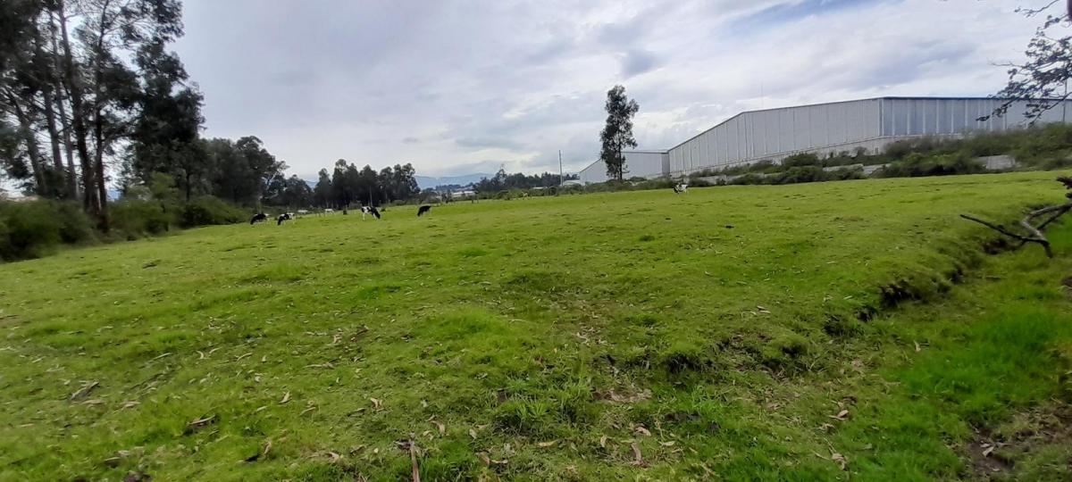 Terreno de Venta en El Valle de Los Chillos, Sector Inchalillo. 8973 m. Provincia de Pichincha — imagen 4