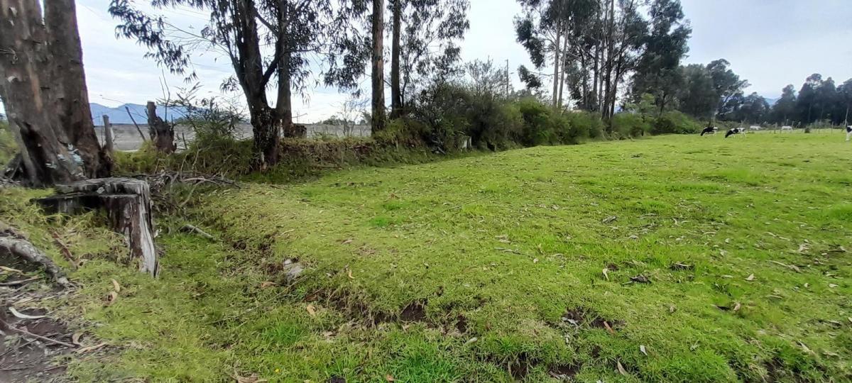 Terreno de Venta en El Valle de Los Chillos, Sector Inchalillo. 8973 m. Provincia de Pichincha — imagen 3