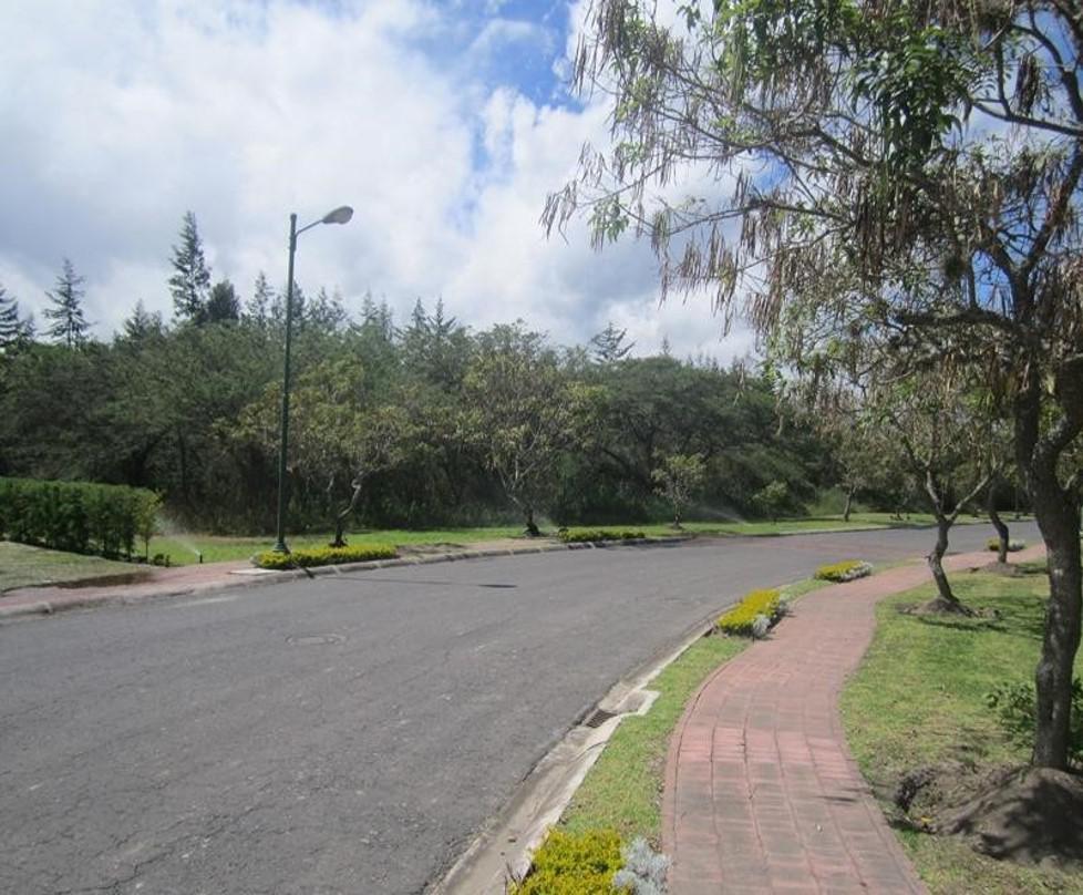 Venta Terreno Urbanizacion Arrayanes Sector Puembo — imagen 5