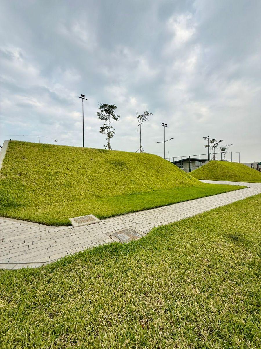 Terreno en Venta – Isla Mocolí, Guayas — imagen 5