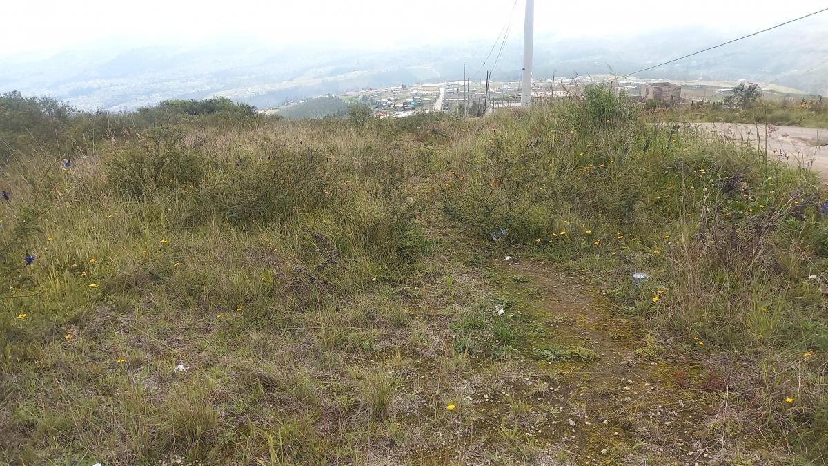 Venta Terreno de 1000 m² en Catzuqui de Velazco — imagen 5