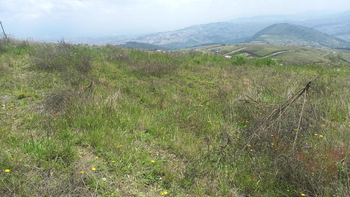 Venta Terreno de 1000 m² en Catzuqui de Velazco — imagen 4