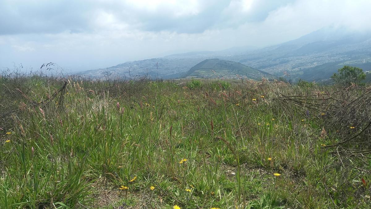 Venta Terreno de 1000 m² en Catzuqui de Velazco — imagen 3
