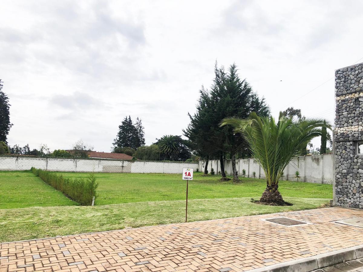 Vendo Terreno / Unifamiliar / Puembo / Pifo / Chaupimolino — imagen 4