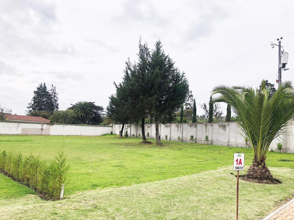 Vendo Terreno / Unifamiliar / Puembo / Pifo / Chaupimolino — imagen 3