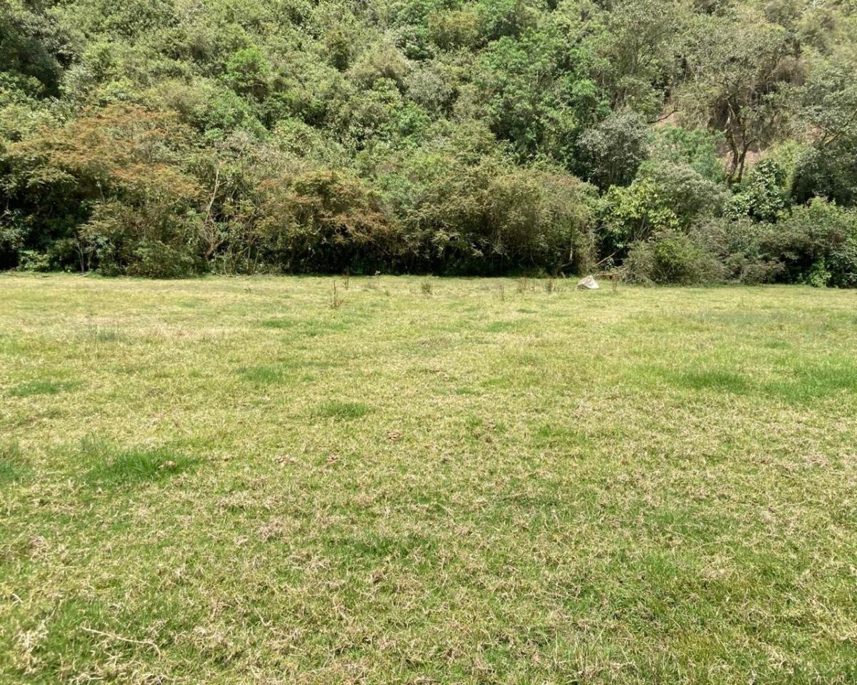 Cráter Pululahua - Terreno en Venta — imagen 4