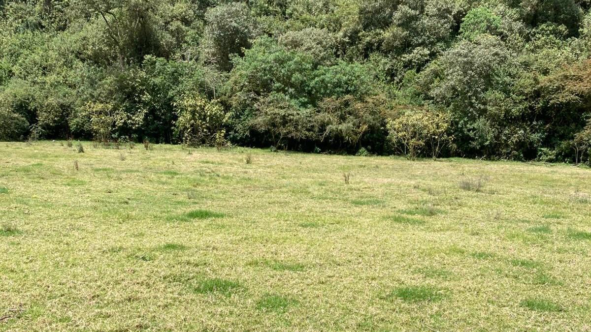 Cráter Pululahua - Terreno en Venta — imagen 3
