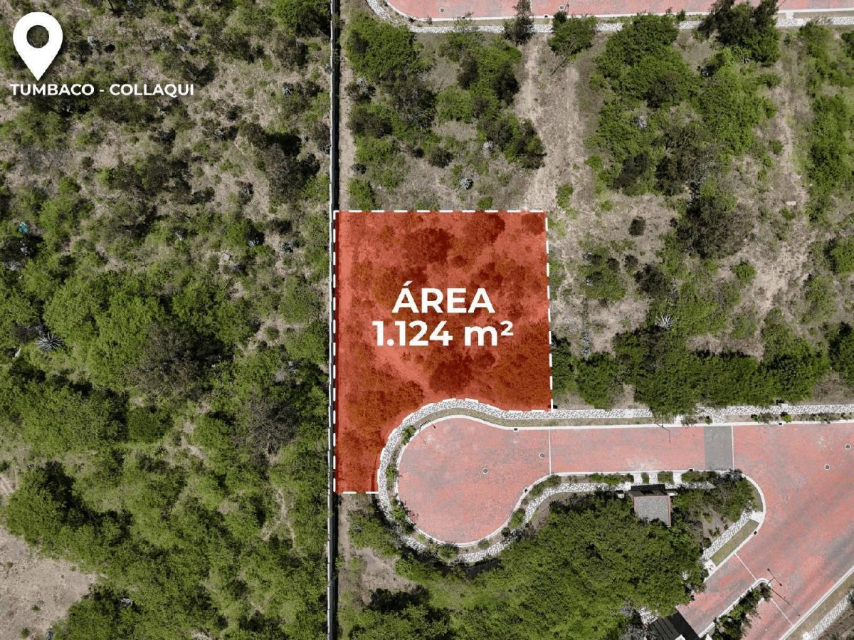 Excelente Terreno de 1.124 m² en Exclusiva Urbanización Privada - Collaquí, Tumbaco — imagen 10