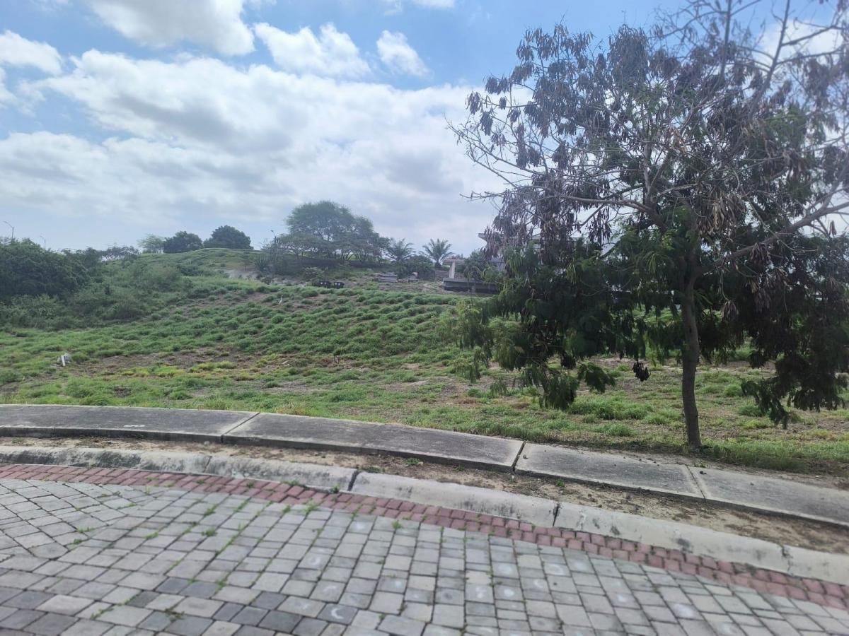 Terreno en Montecristi, Manabí — imagen 5