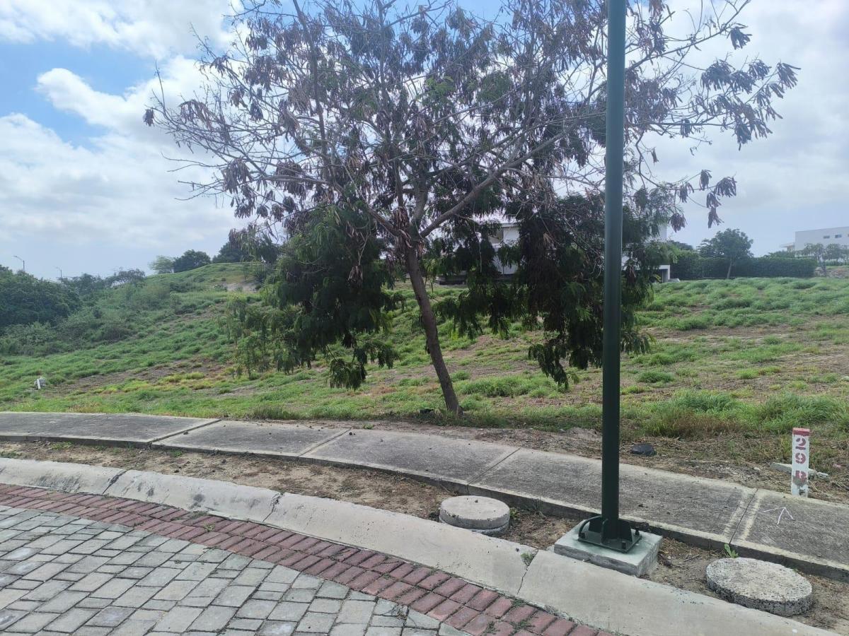 Terreno en Montecristi, Manabí — imagen 3