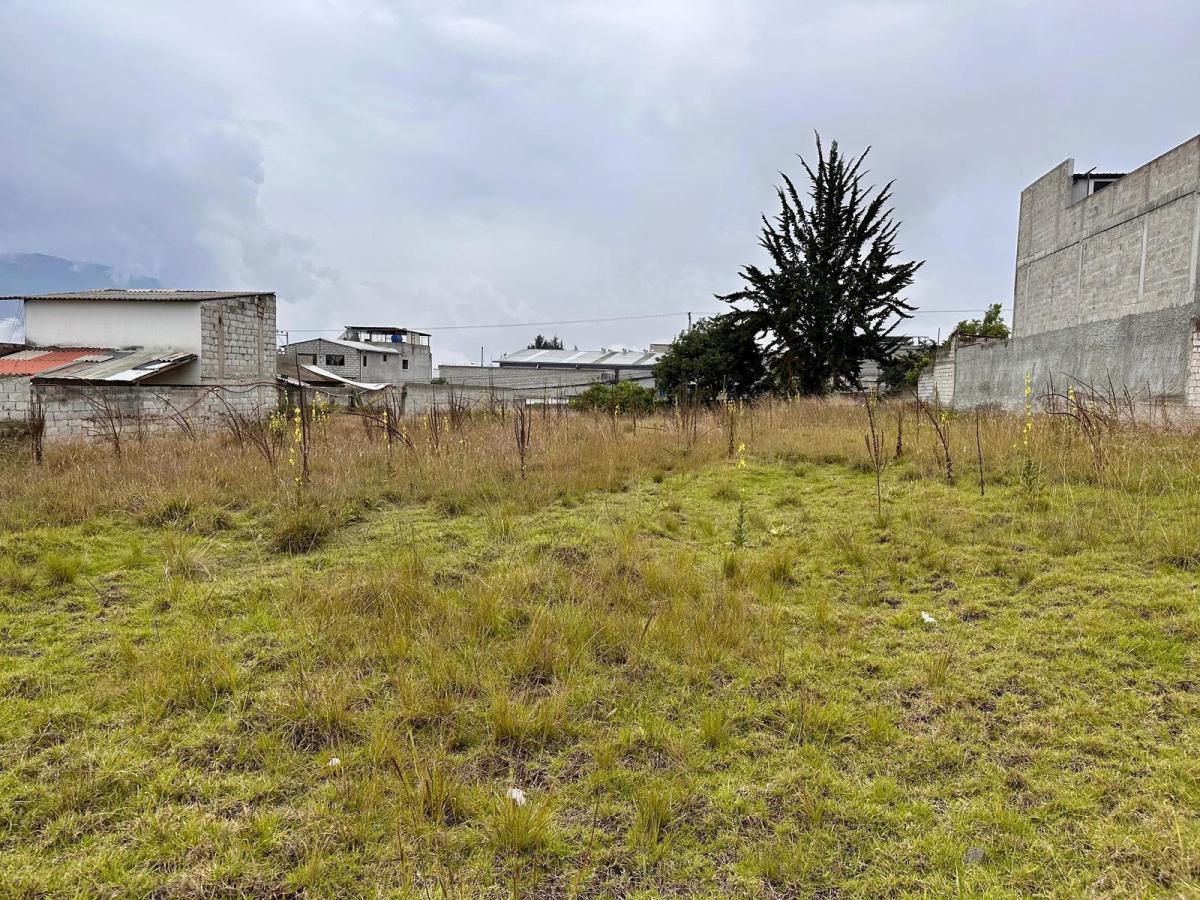 Terreno en Venta en Calderon Sector San Jose de Moran — imagen 4