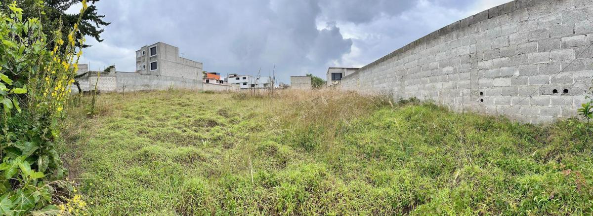 Terreno en Venta en Calderon Sector San Jose de Moran — imagen 3