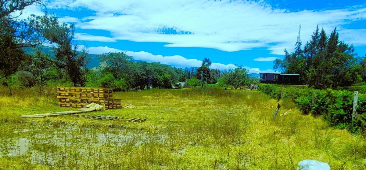 Venta Terreno 17.000 m² en Puembo, Factible Construir 5 Casas, con Regadío. Provincia de Pichincha — imagen 4