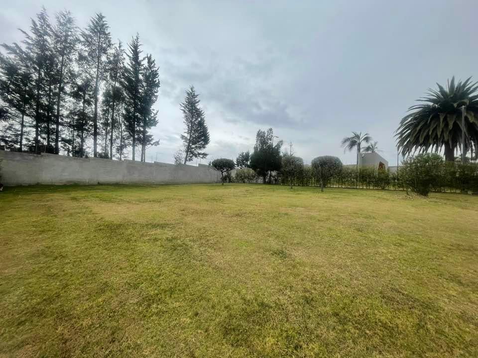 Venta Lotes Puembo - Urbanizacion Privada - Home Realtors By Monica Miranda — imagen 3