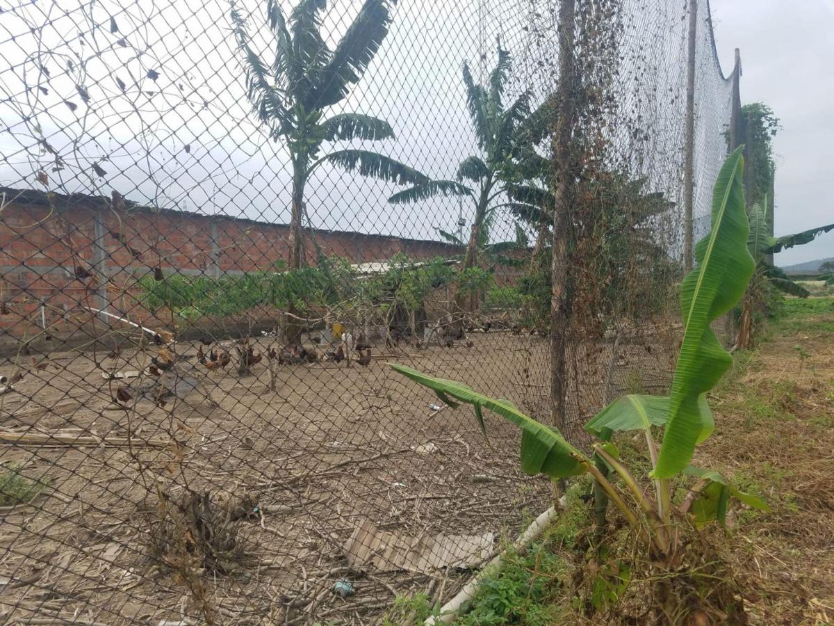 Terreno de Venta en Montecristi Sitio Toalla Chica, Manabí — imagen 5