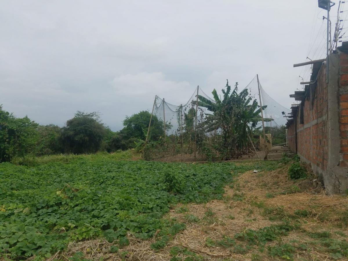 Terreno de Venta en Montecristi Sitio Toalla Chica, Manabí — imagen 3