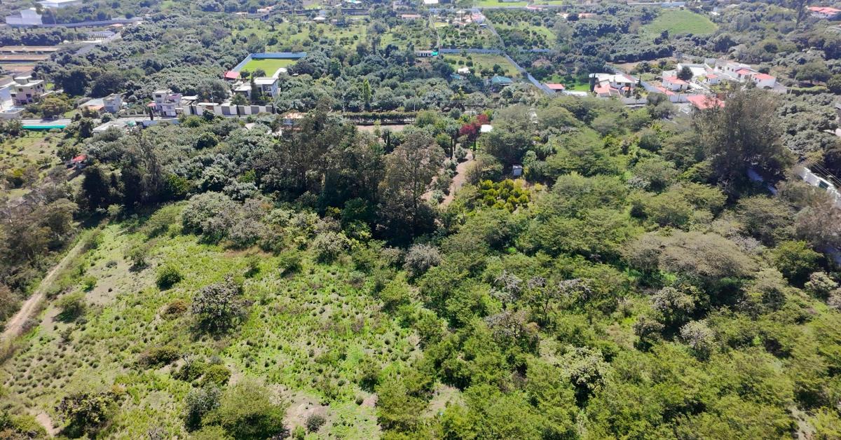 Se Vende Terreno de 55.770 m² Frente Al Zoológico de Guayllabamba — imagen 3