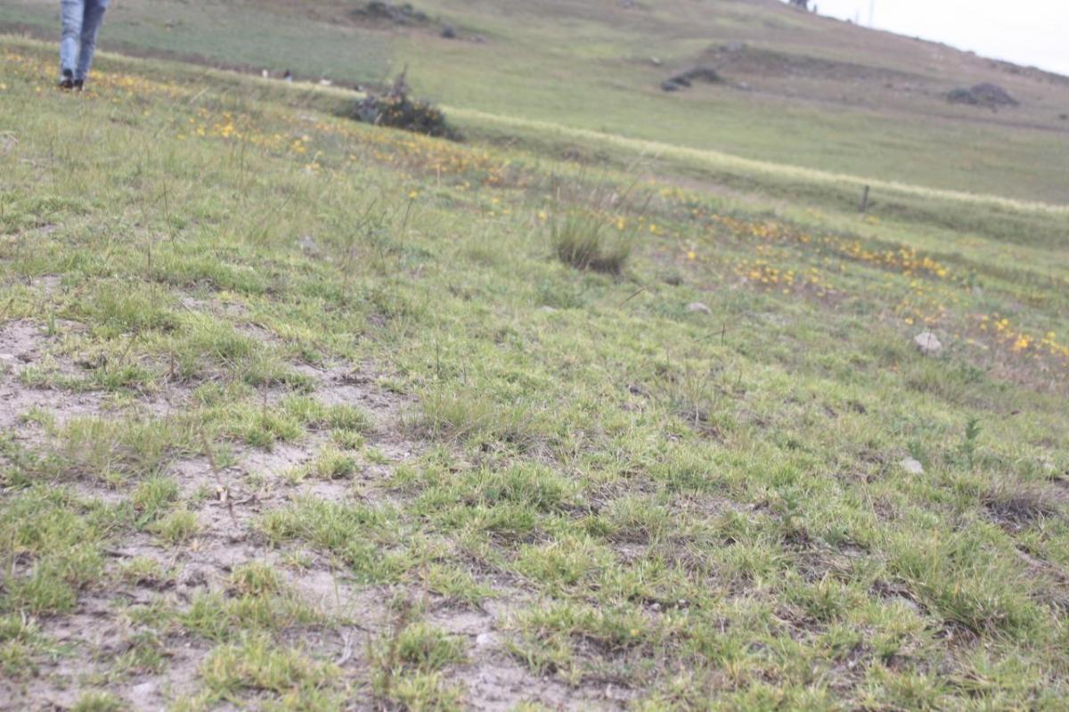 Terreno en Venta en Cañar — imagen 5