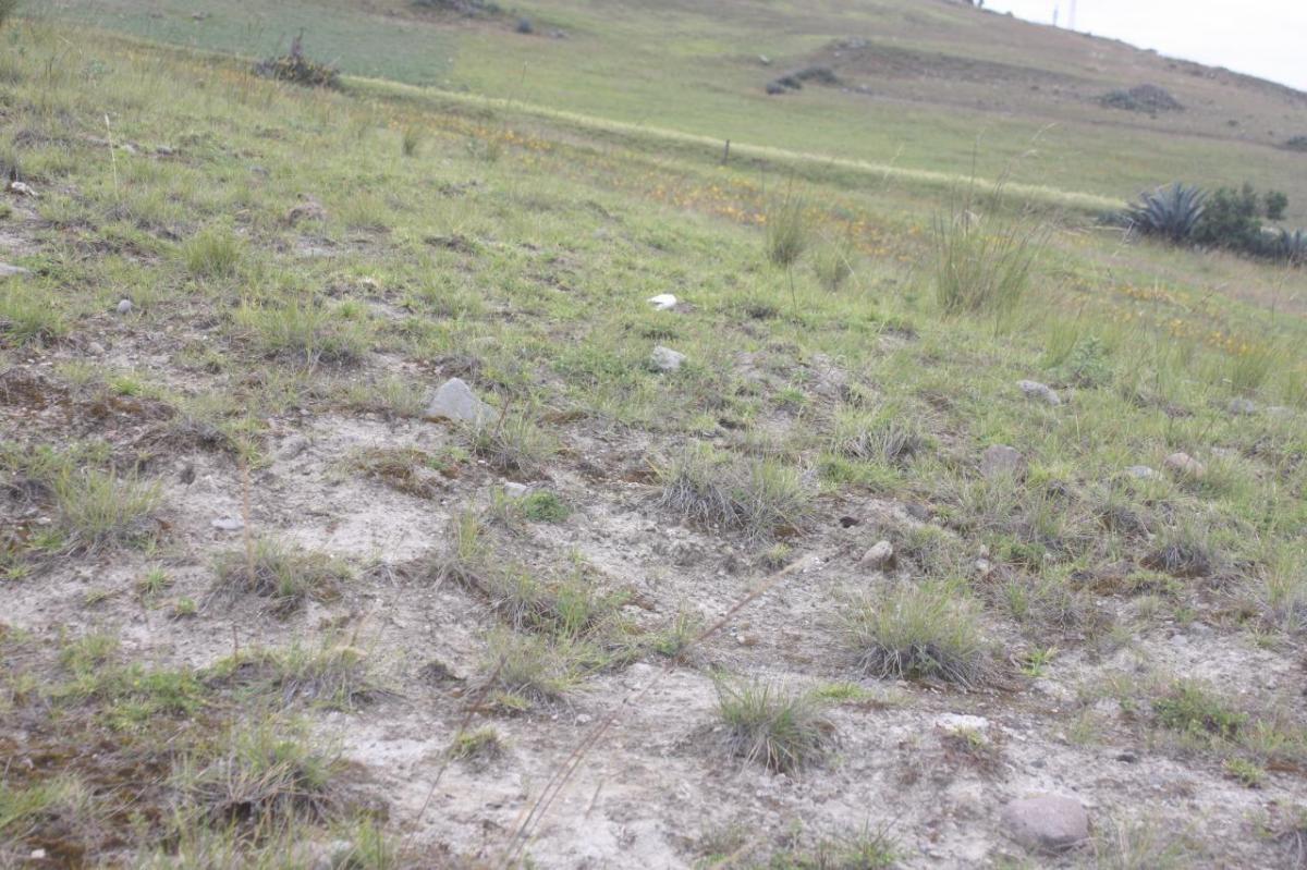 Terreno en Venta en Cañar — imagen 3