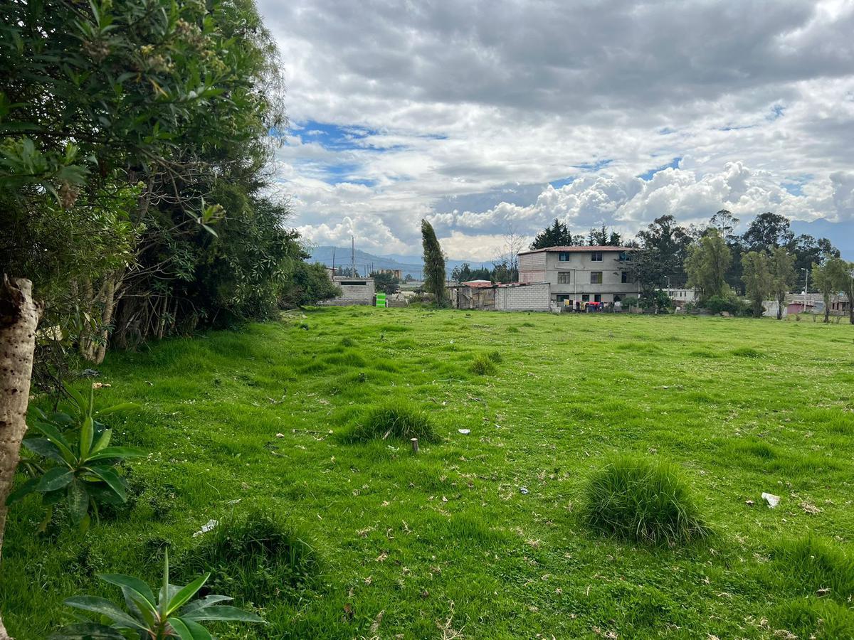 En Pifo, en Venta Terreno Ideal Para Proyecto Inmobiliario Vip 3290 m² (Mv) — imagen 5