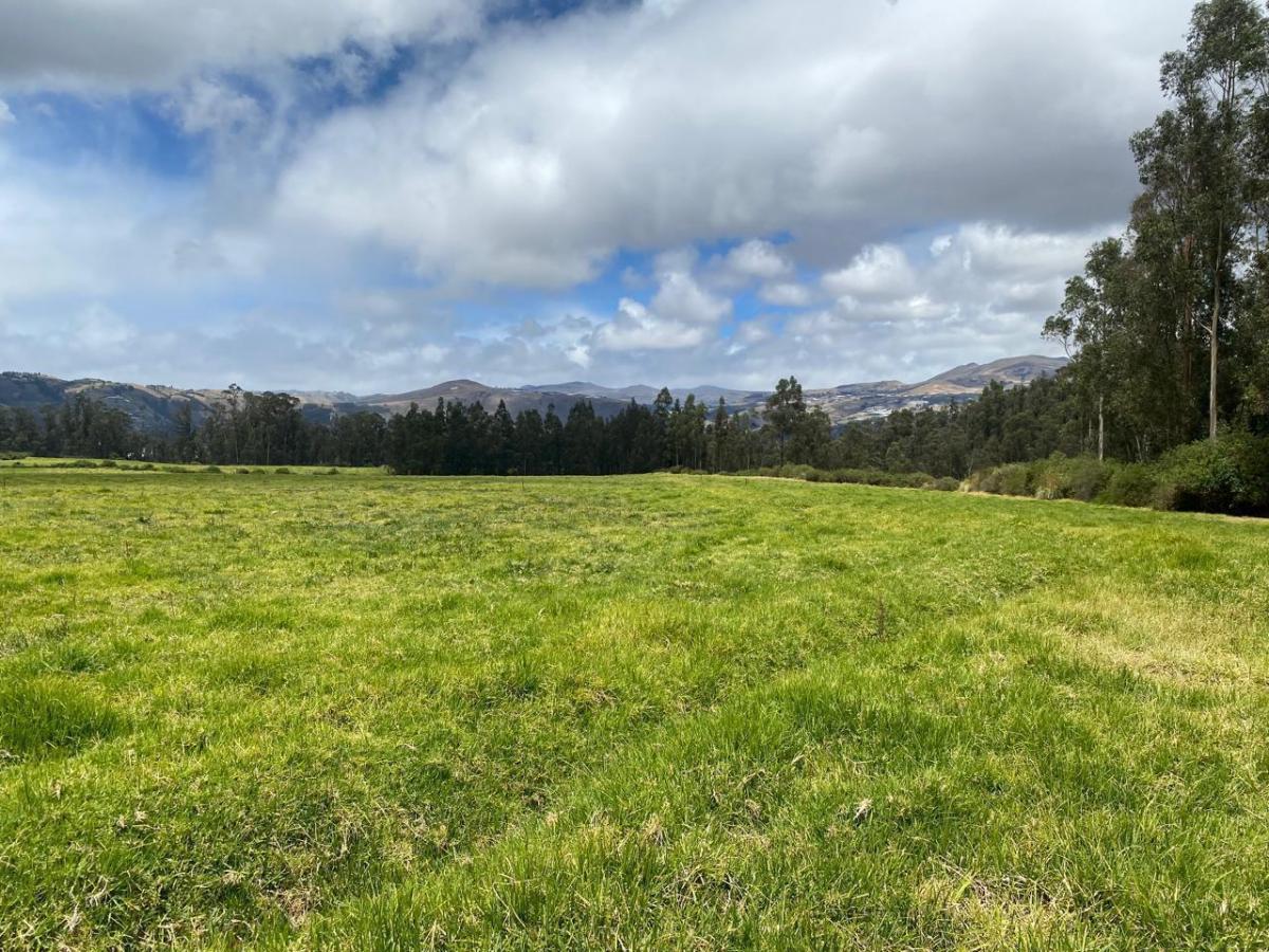 Terreno en Venta Terreno Sector Cañar Chuquipata — imagen 4
