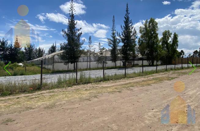 Terreno de Venta en Tababela 6.809 m² a Una Cuadra del Hotel Eurobuilding — imagen 3