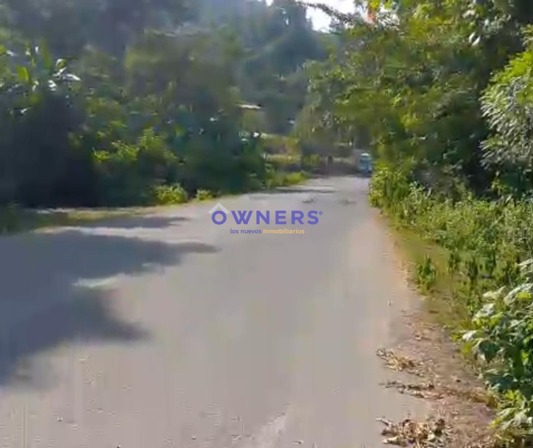 Vendo Finca de 4 Has con Riachuelo y Arboles Frutales. Pajan (Mm), Manabí — imagen 4