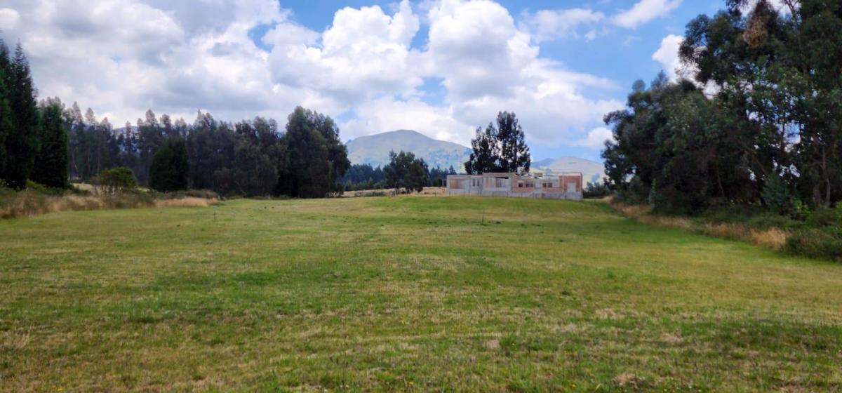 Terreno 2.513 m² Urbanización Privada en Tabacundo | Naturaleza, Exclusividad y Casa de Campo — imagen 5