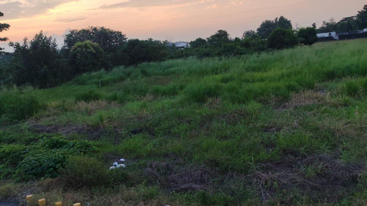 Terreno en Quevedo, Los Ríos — imagen 4
