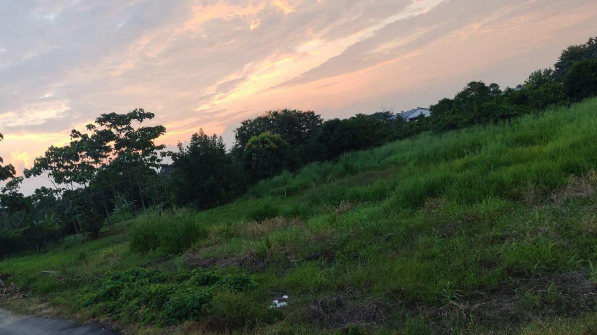 Terreno en Quevedo, Los Ríos — imagen 3