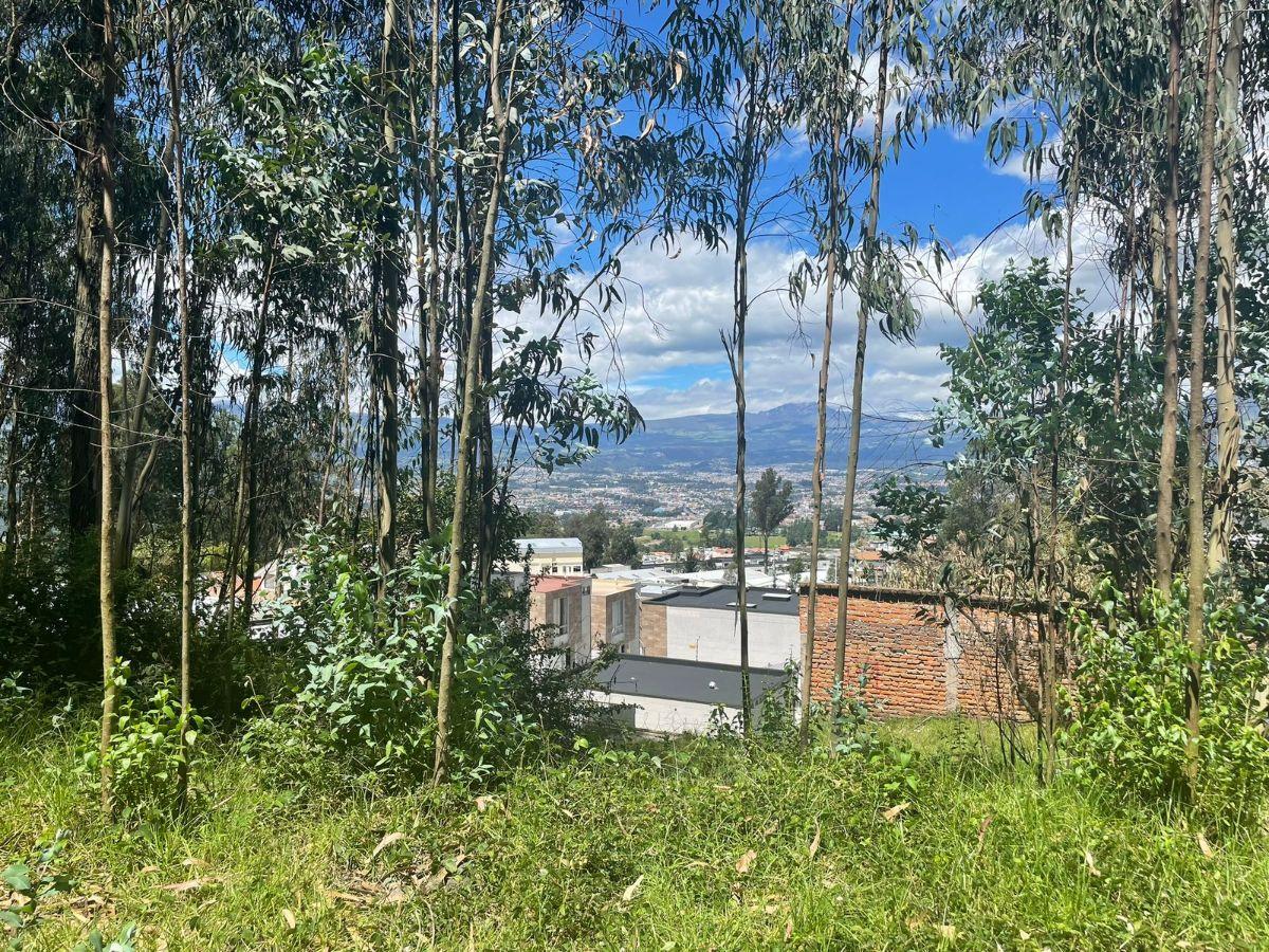 Se Vende Amplio Terreno en El Valle de Los Chillos Sector Puente 3 — imagen 5