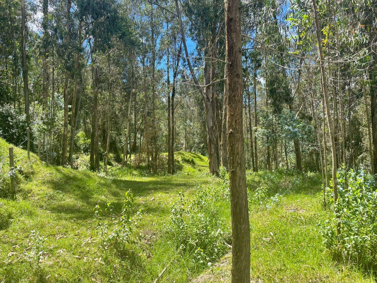 Se Vende Amplio Terreno en El Valle de Los Chillos Sector Puente 3 — imagen 3